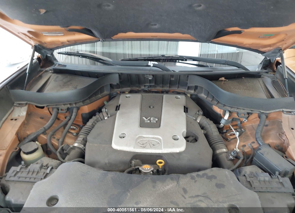 2009 INFINITI FX35 VIN: JNRAS18U09M100908