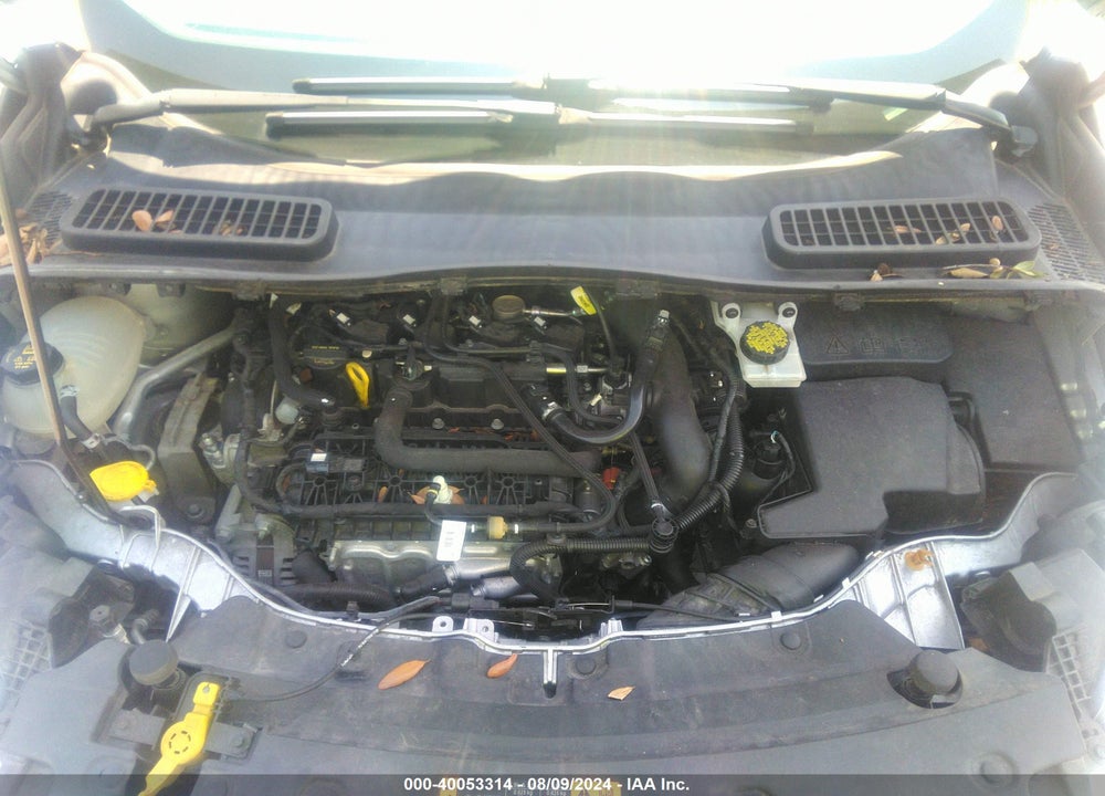 2019 FORD ESCAPE VIN: 1FMCU0GD4KUC23174