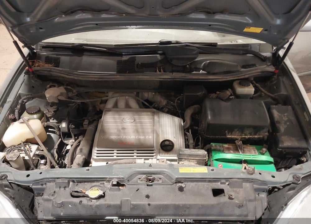 2001 LEXUS RX 300 VIN: JTJHF10U310183788