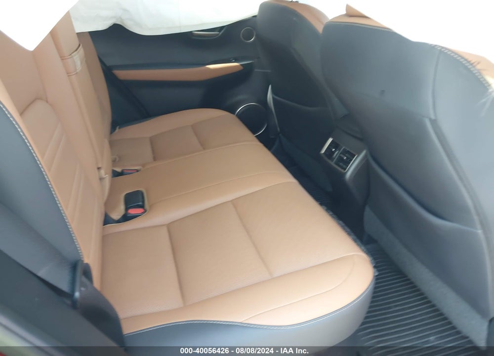 2021 LEXUS NX 300 VIN: JTJDARBZ7M5032738