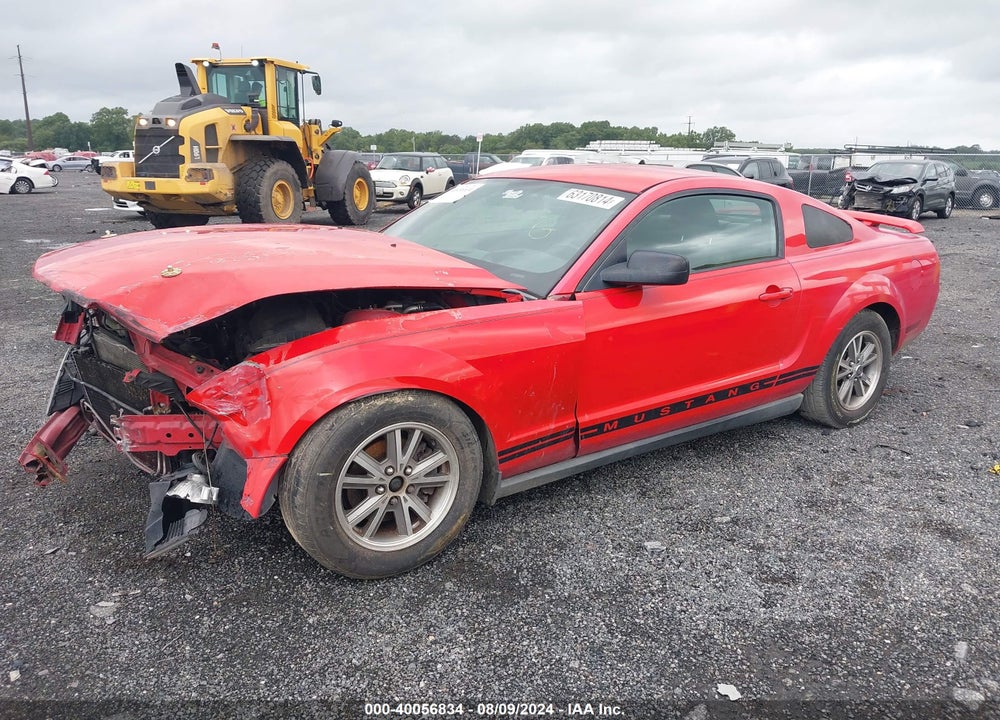 2005 FORD MUSTANG V6 DELUXE/V6 PREMIUM VIN: 1ZVFT80N555198769