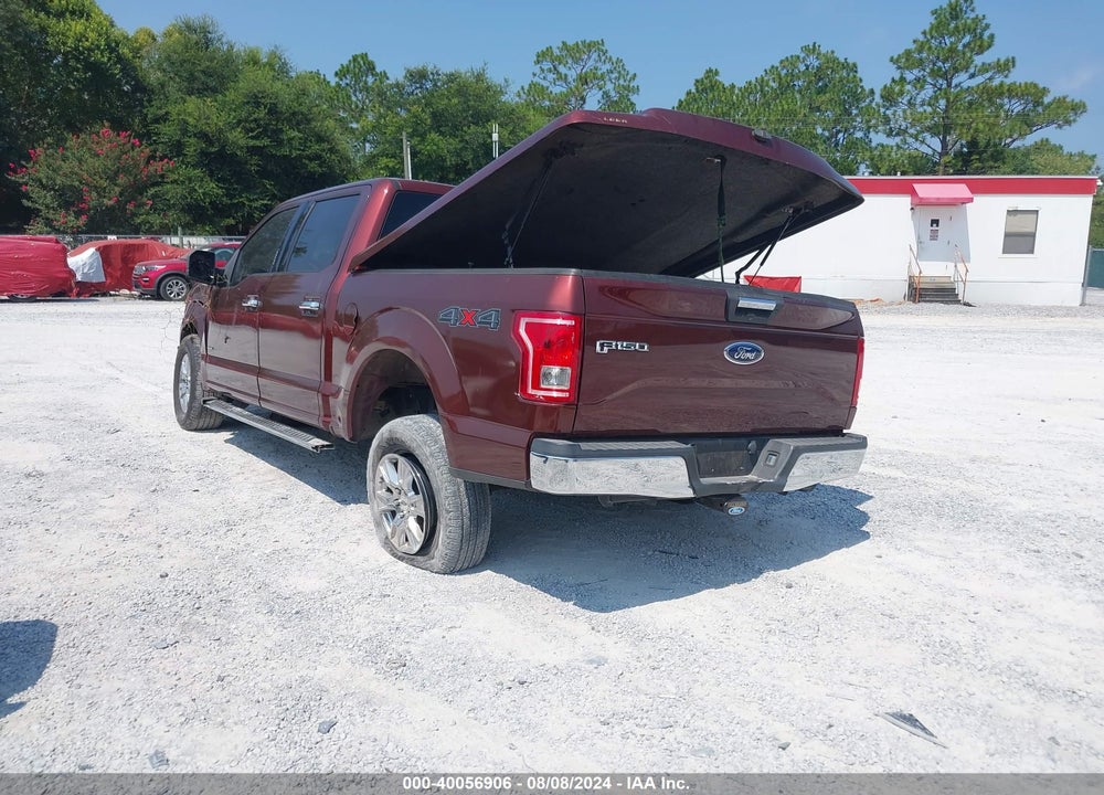 2016 FORD F-150 XLT VIN: 1FTEW1EP4GFB62995