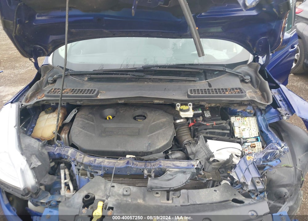 2014 FORD ESCAPE SE VIN: 1FMCU9G99EUB02032