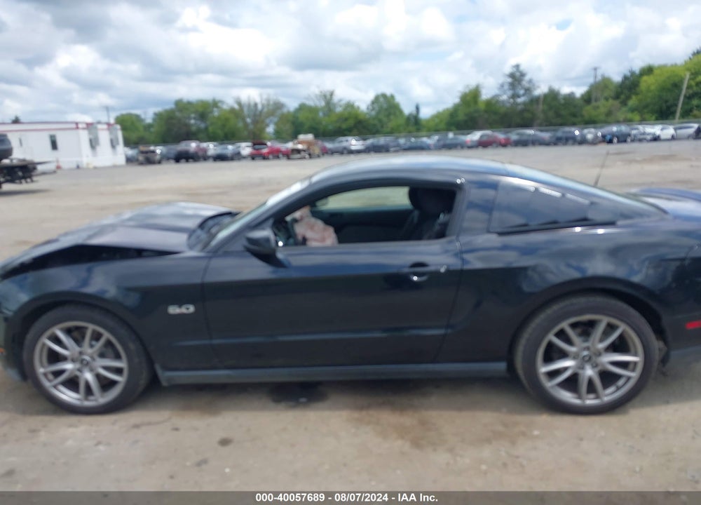 2012 FORD MUSTANG GT VIN: 1ZVBP8CF1C5271513