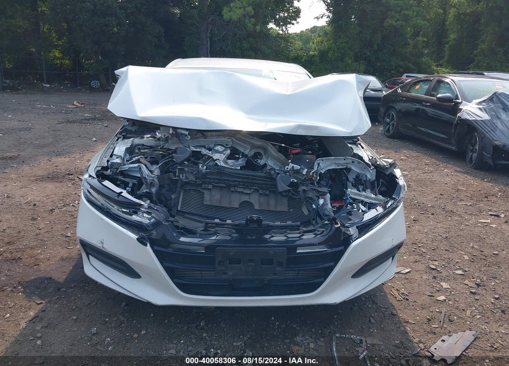 2019 HONDA ACCORD LX VIN: 1HGCV1F16KA091830