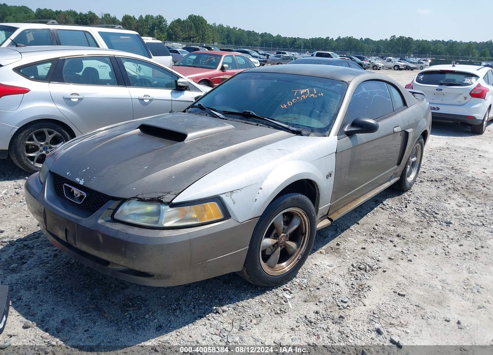 2002 FORD MUSTANG GT VIN: 1FAFP42X62F146013