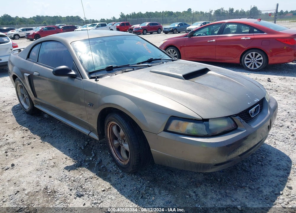 2002 FORD MUSTANG GT VIN: 1FAFP42X62F146013