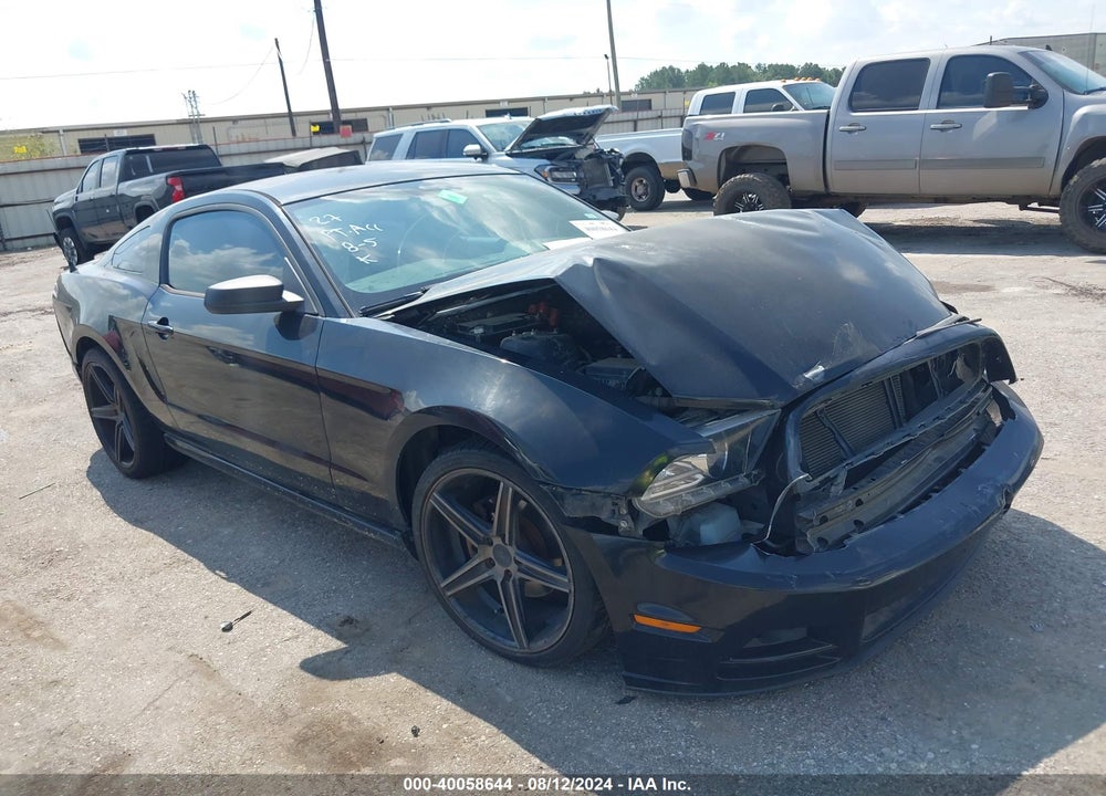 2013 FORD MUSTANG V6 VIN: 1ZVBP8AM2D5216037
