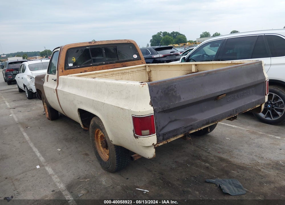 1979 CHEVROLET C20 VIN: CCL249A196219
