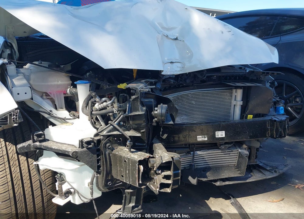 2024 KIA FORTE GT VIN: 3KPF44AC3RE699515