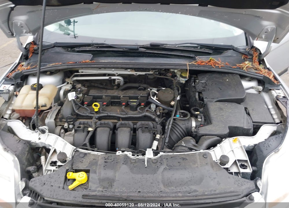 2014 FORD FOCUS SE VIN: 1FADP3K26EL318875