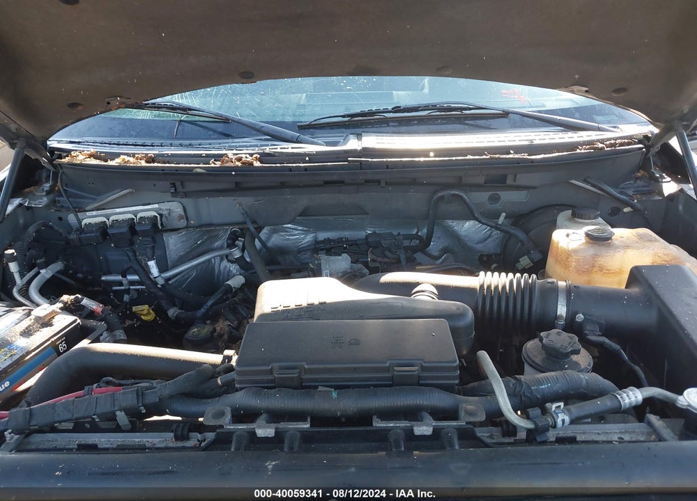 2010 FORD F-150 XL VIN: 1FTEW1CW9AFB29248