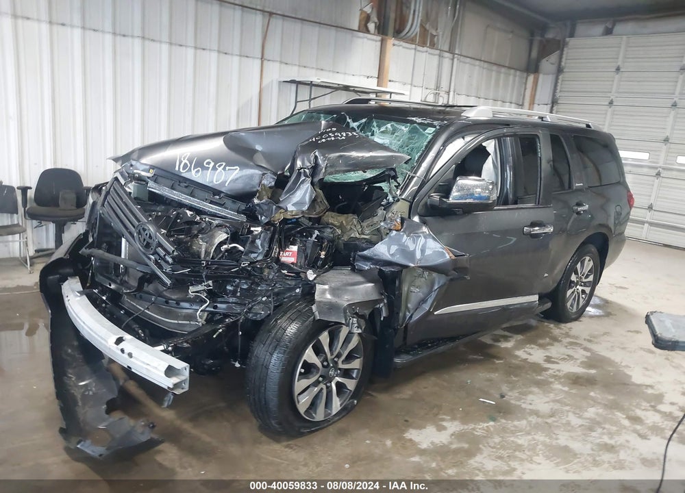 2020 TOYOTA SEQUOIA LIMITED VIN: 5TDKY5G17LS074479