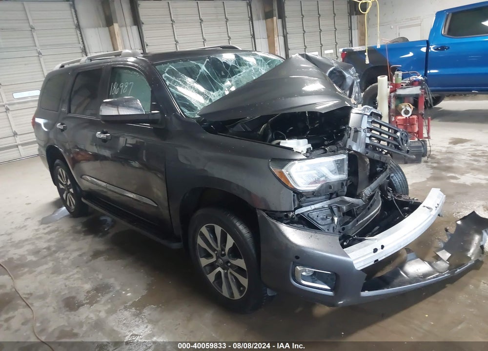 2020 TOYOTA SEQUOIA LIMITED VIN: 5TDKY5G17LS074479