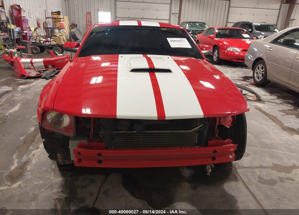 2009 FORD MUSTANG GT PREMIUM VIN: 1ZVHT82H595119218