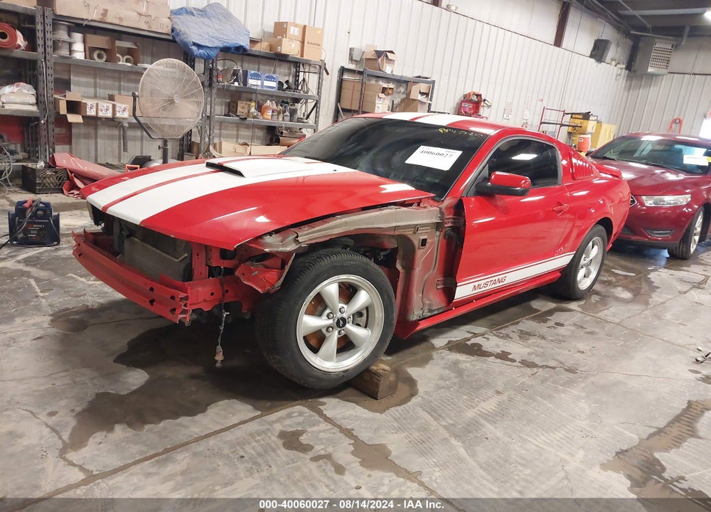 2009 FORD MUSTANG GT PREMIUM VIN: 1ZVHT82H595119218