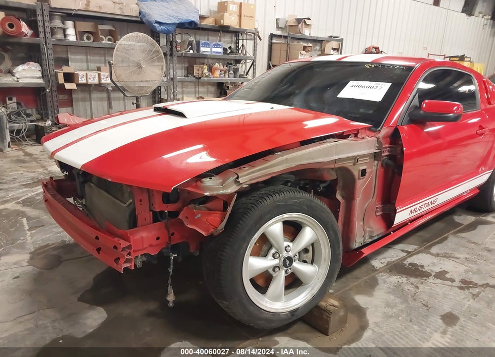 2009 FORD MUSTANG GT PREMIUM VIN: 1ZVHT82H595119218