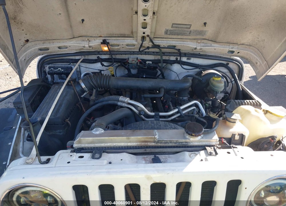 2003 JEEP WRANGLER X VIN: 1J4FA39S63P317672
