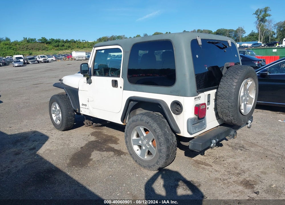 2003 JEEP WRANGLER X VIN: 1J4FA39S63P317672