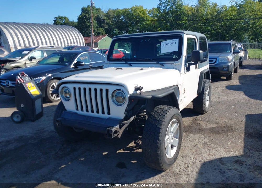 2003 JEEP WRANGLER X VIN: 1J4FA39S63P317672