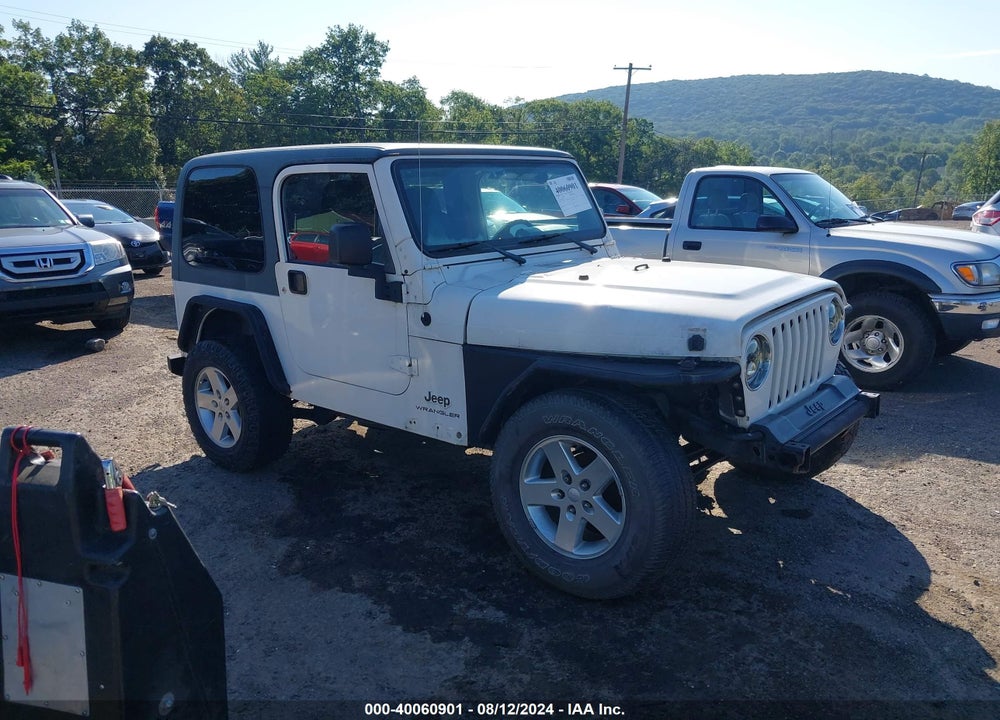 2003 JEEP WRANGLER X VIN: 1J4FA39S63P317672
