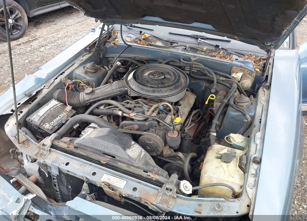 1985 FORD THUNDERBIRD VIN: 1FABP46FXFH169997