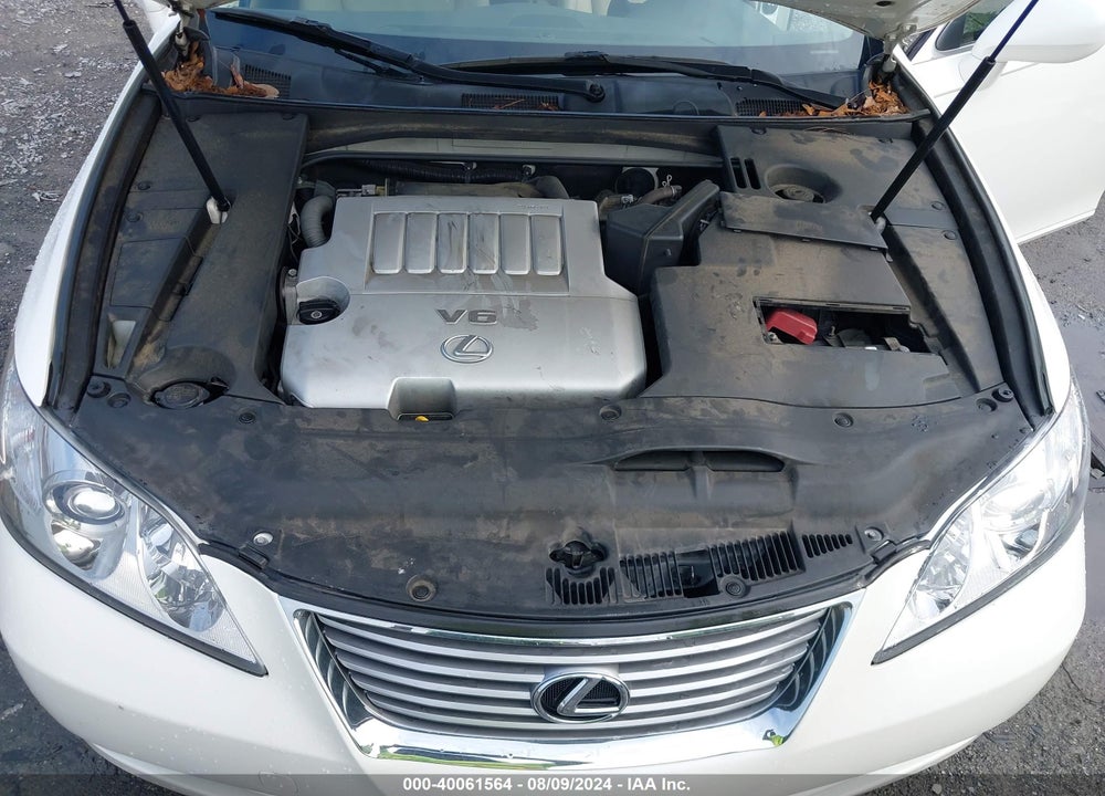 2007 LEXUS ES 350 VIN: JTHBJ46G072010137