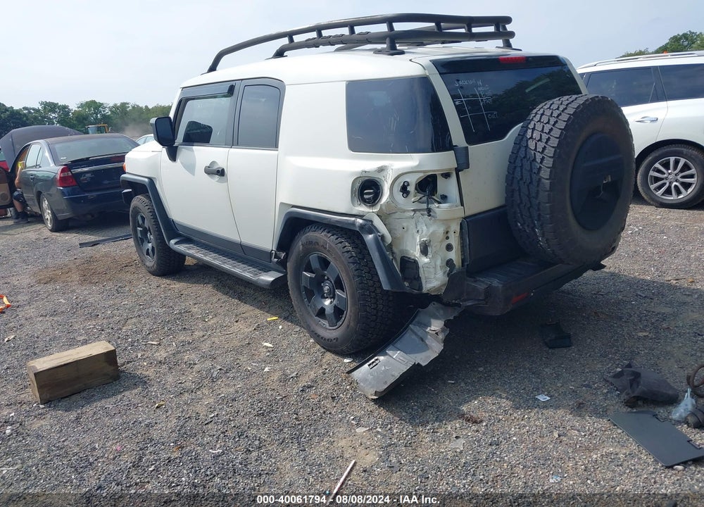 2010 TOYOTA FJ CRUISER VIN: JTEBU4BF1AK097894