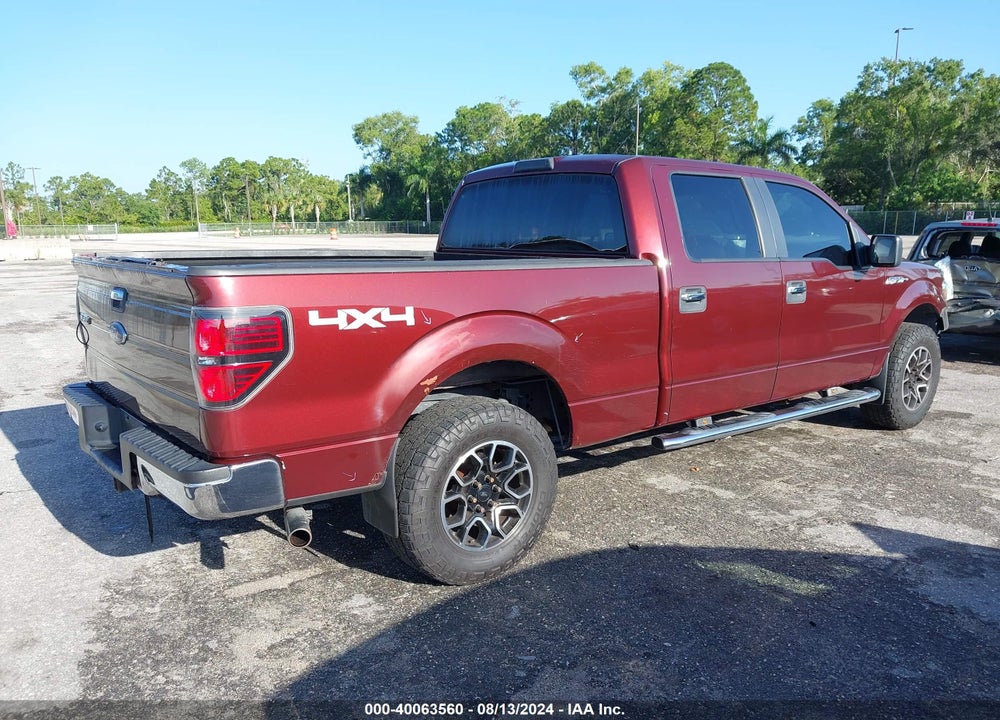 2010 FORD F-150 XL/XLT VIN: 1FTFW1E89AFB83295