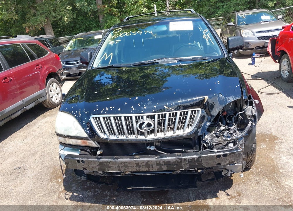 2002 LEXUS RX 300 VIN: JTJGF10UX20132480
