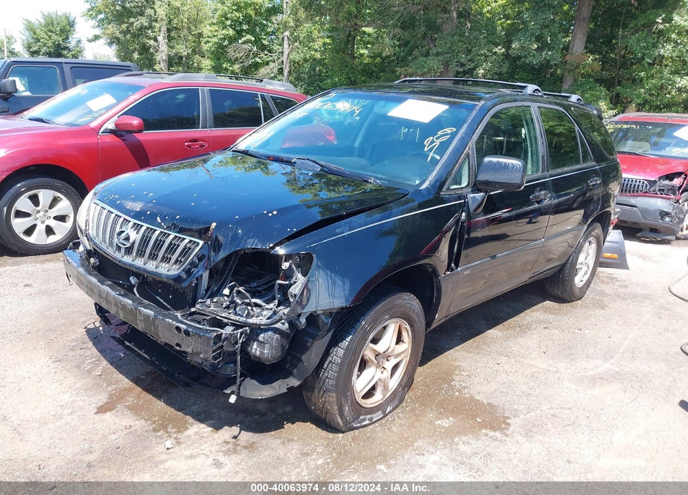 2002 LEXUS RX 300 VIN: JTJGF10UX20132480
