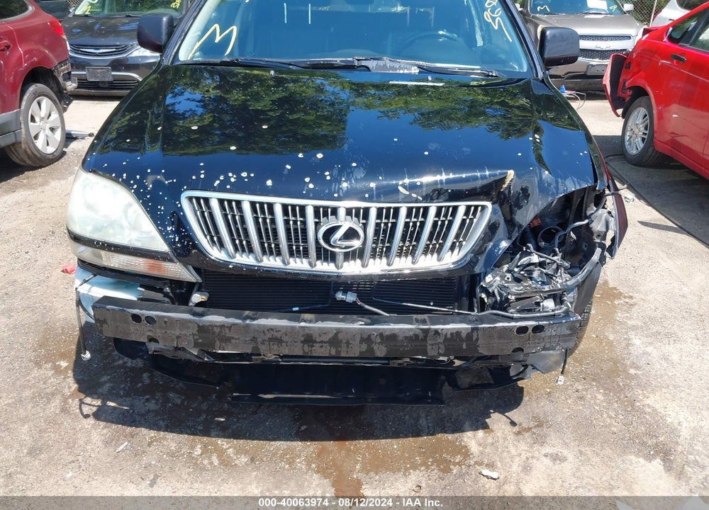 2002 LEXUS RX 300 VIN: JTJGF10UX20132480