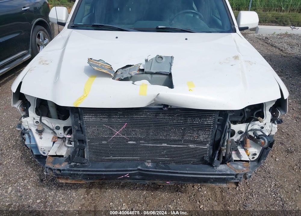 2009 FORD ESCAPE LIMITED VIN: 1FMCU04GX9KB10771