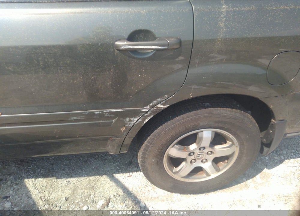 2006 HONDA PILOT EX-L VIN: 5FNYF285X6B026712