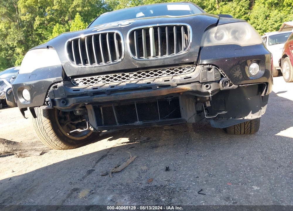 2009 BMW X5 XDRIVE30I VIN: 5UXFE435X9L271278