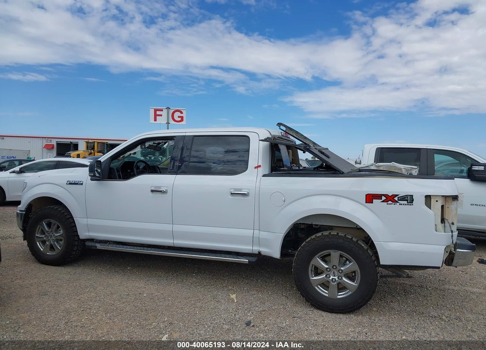 2020 FORD F-150 XLT VIN: 1FTEW1E46LKD56919