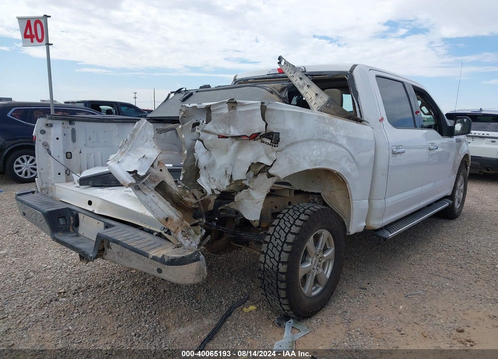 2020 FORD F-150 XLT VIN: 1FTEW1E46LKD56919