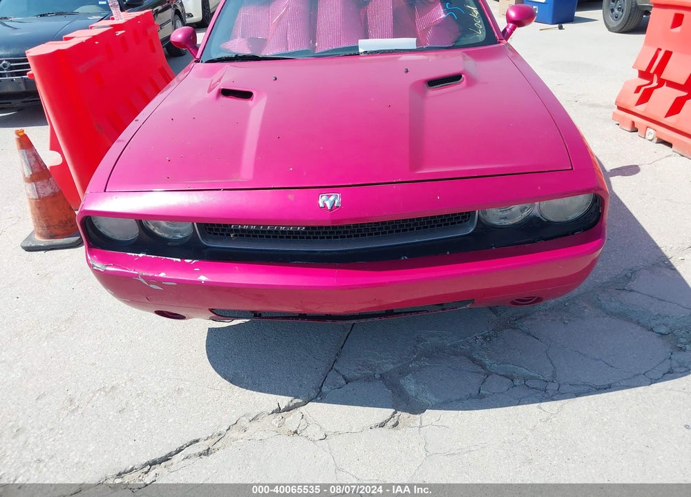 2010 DODGE CHALLENGER VIN: 2B3CJ4DV1AH166744
