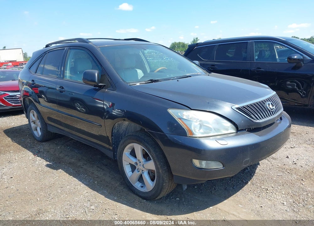 2004 LEXUS RX 330 VIN: 2T2HA31U84C019910
