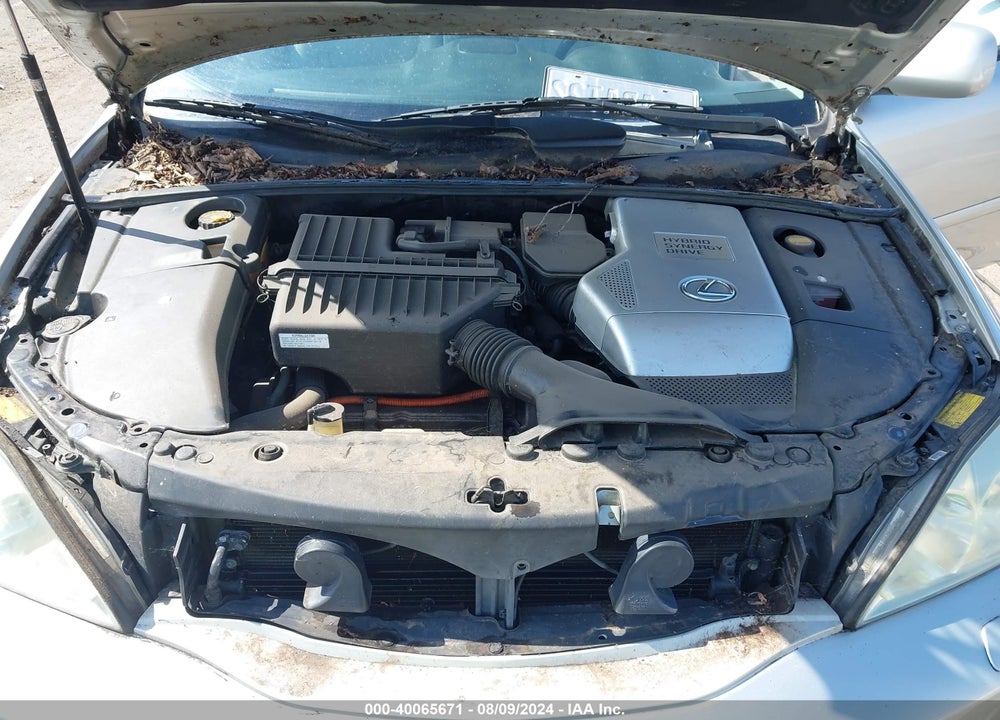 2006 LEXUS RX 400 VIN: JTJHW31U660033370