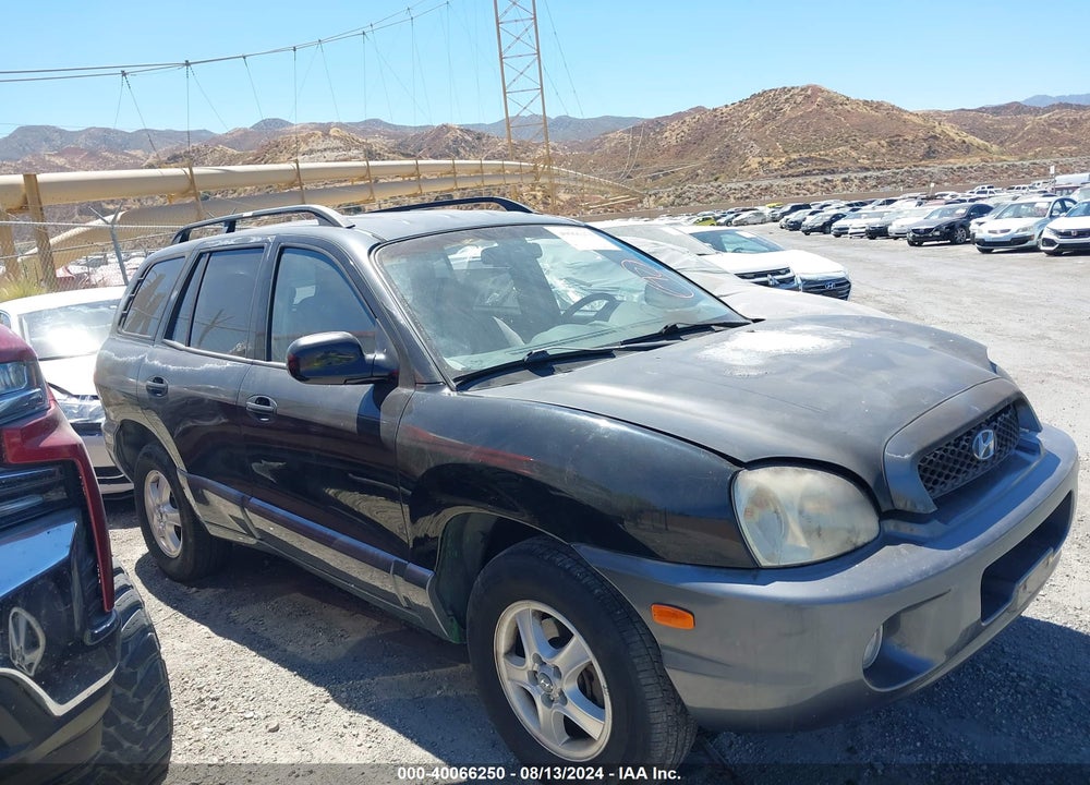 2004 HYUNDAI SANTA FE VIN: KM8SC13D74U643072