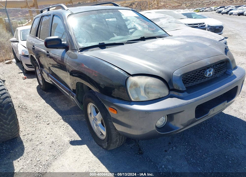 2004 HYUNDAI SANTA FE VIN: KM8SC13D74U643072