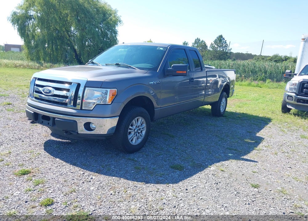 2011 FORD F-150 XLT VIN: 1FTVX1EF7BKD57185