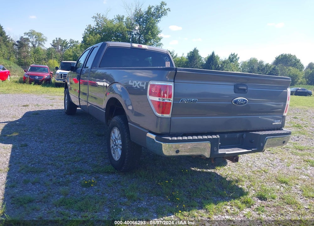 2011 FORD F-150 XLT VIN: 1FTVX1EF7BKD57185