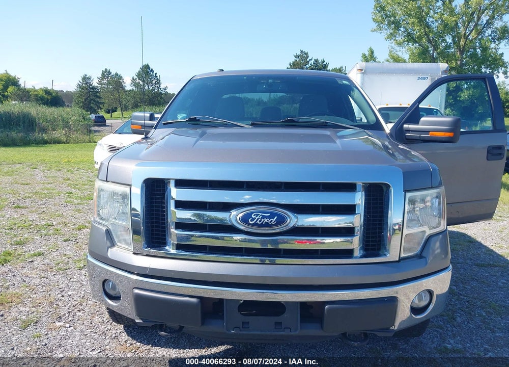 2011 FORD F-150 XLT VIN: 1FTVX1EF7BKD57185
