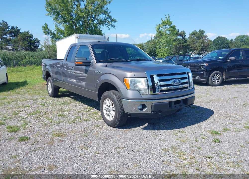 2011 FORD F-150 XLT VIN: 1FTVX1EF7BKD57185