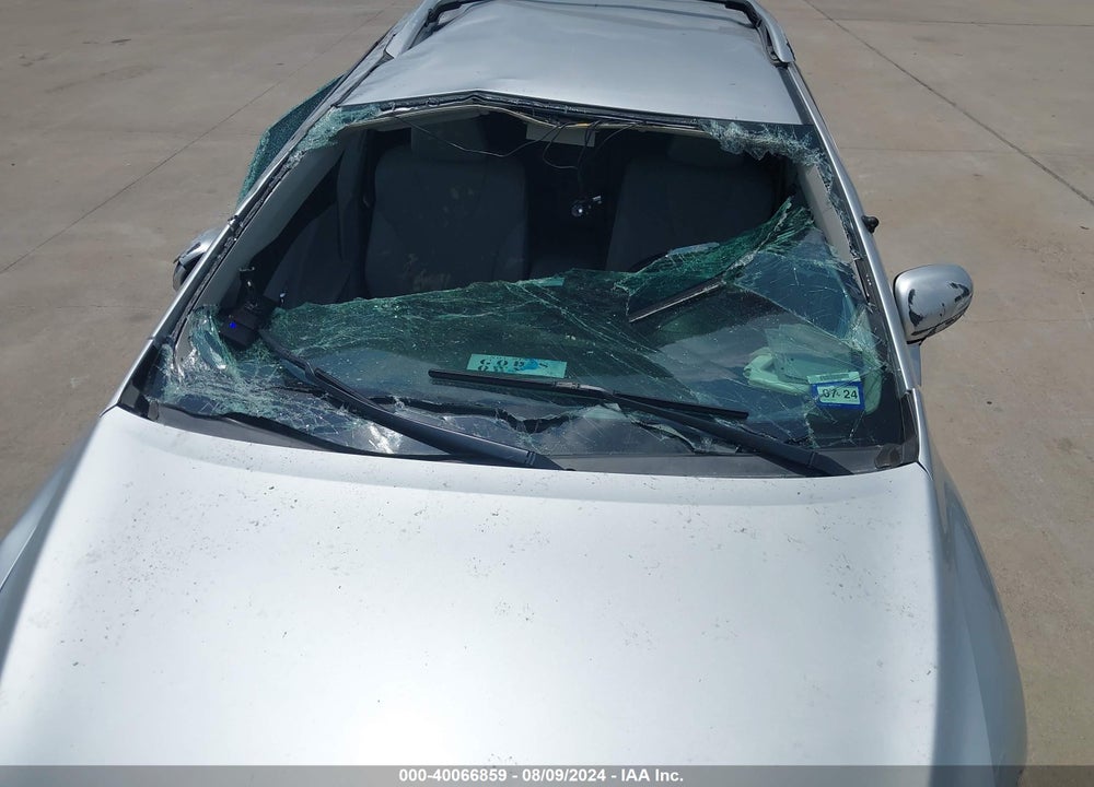 2009 TOYOTA VENZA VIN: 4T3ZE11A99U004014