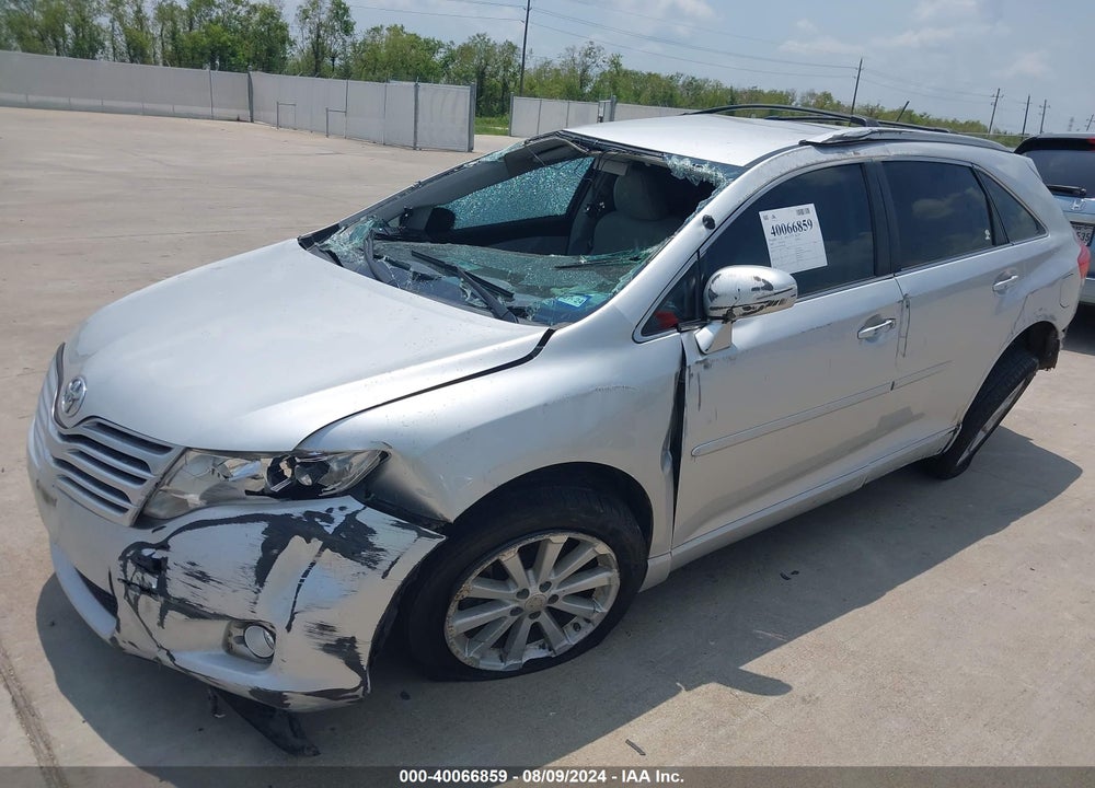 2009 TOYOTA VENZA VIN: 4T3ZE11A99U004014