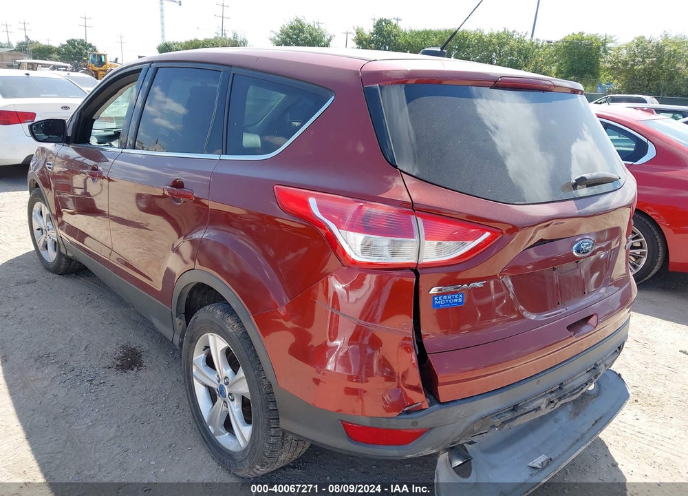 2014 FORD ESCAPE SE VIN: 1FMCU0GX9EUB81390