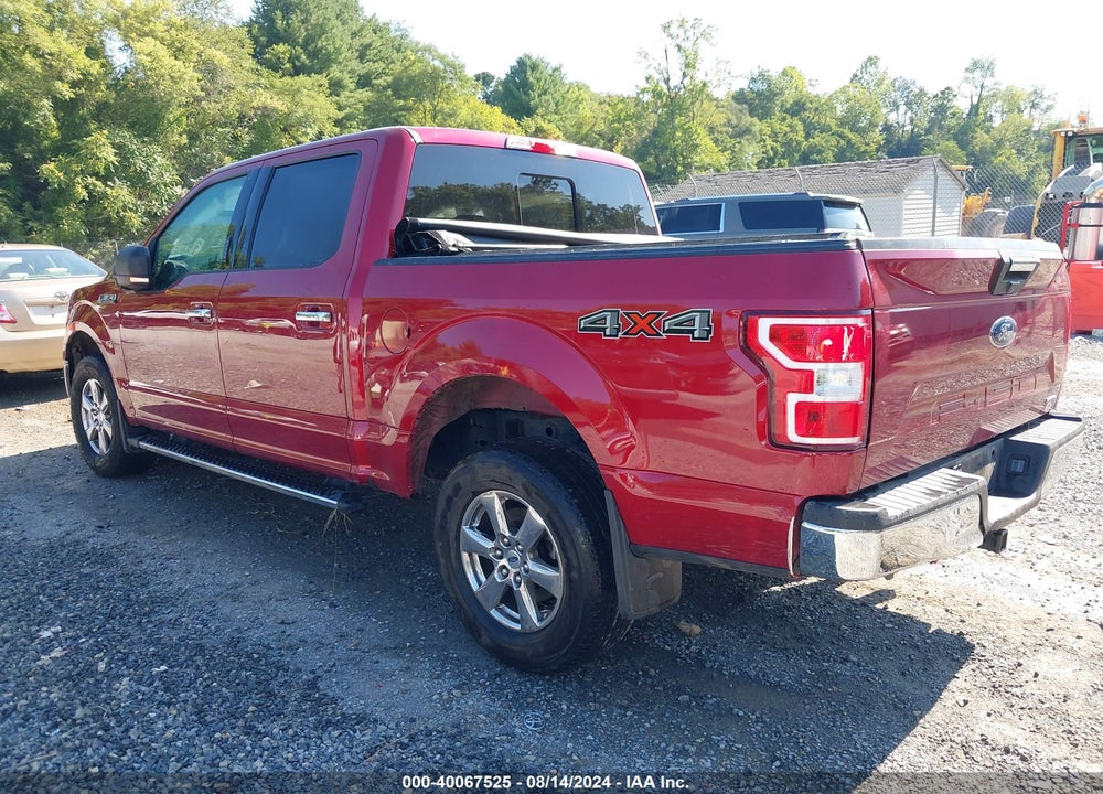2019 FORD F-150 XLT VIN: 1FTEW1EP8KKF28375